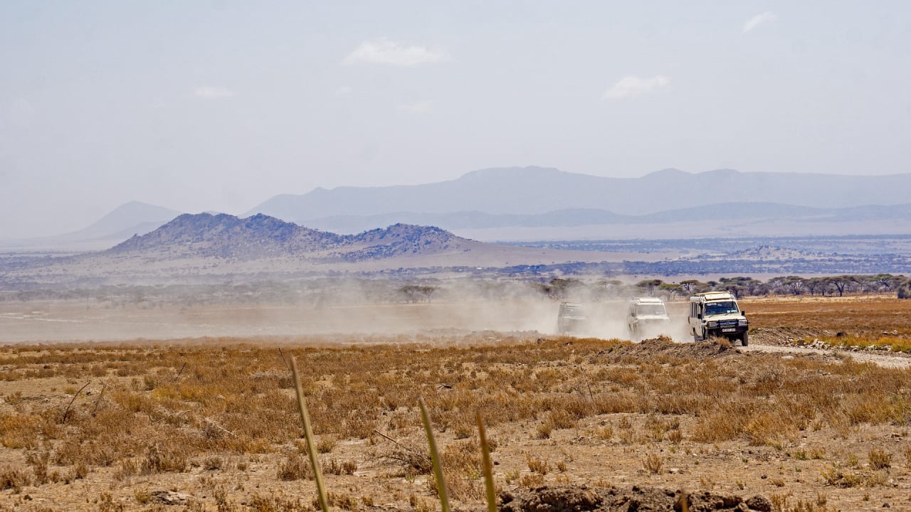 The Serengeti Plains